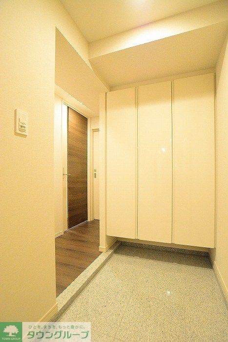 玄関　カラータイプは白です