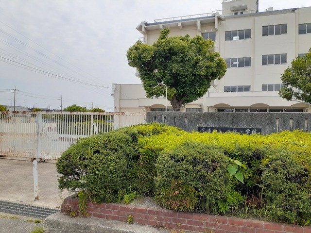 小学校　丸橋小学校（小学校）まで60m