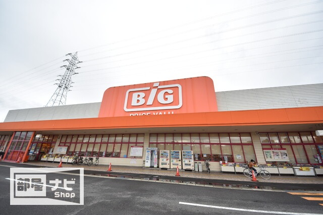 ショッピングセンター　ザ・ビッグ奥田南店（ショッピングセンター）まで589m