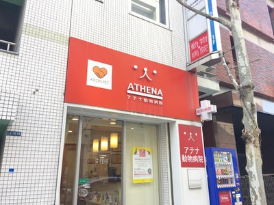 病院　アテナ動物病院 赤坂店（病院）まで509m