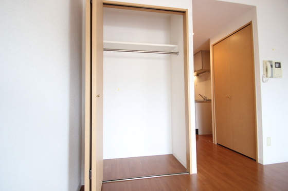収納　※別部屋の写真です