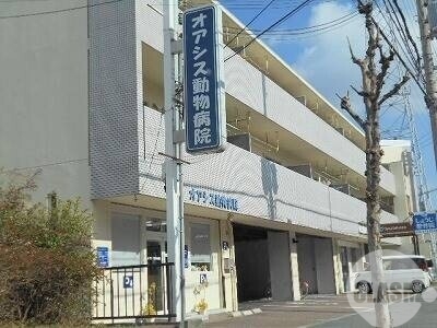 病院　オアシス動物病院（病院）まで2834m
