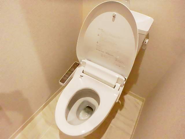 トイレ　室内写真です。