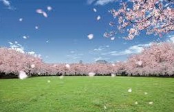 公園　蕨市民公園（公園）まで783m