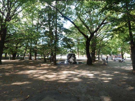 公園　板橋区平和公園（公園）まで390m