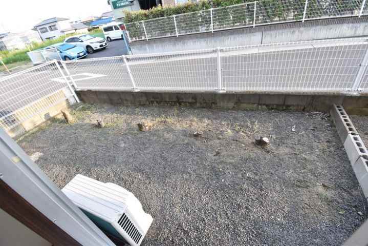 庭