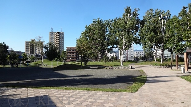 公園　二十四軒公園（公園）まで206m