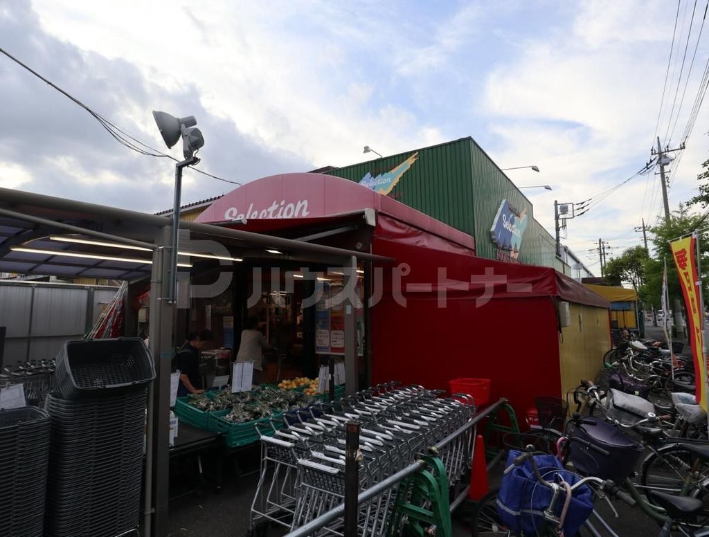 スーパー　FOODS　MARKET　Selection八潮店（スーパー）まで540m
