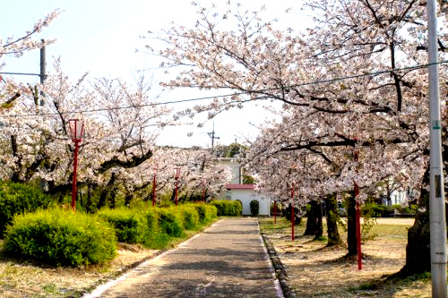 公園　牧野公園（公園）まで1108m