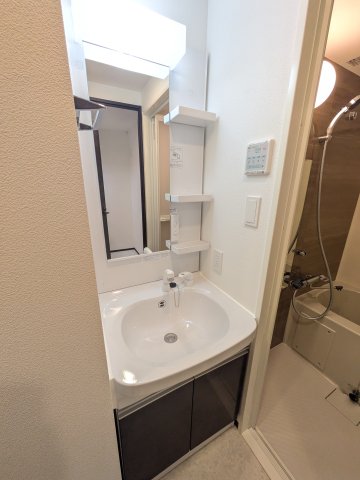 洗面設備　別タイプ参考写真