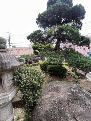 庭