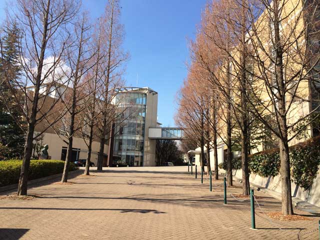 大学・短大　私立神戸常盤大学（大学・短大）まで556m