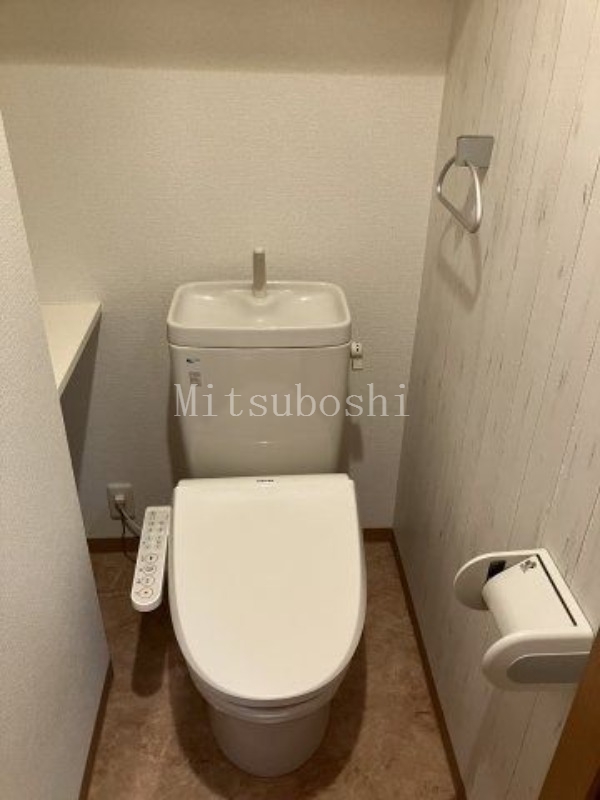 トイレ　フェルテ波