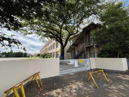 小学校　第十小学校（小学校）まで1146m