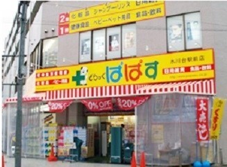 ドラックストア　どらっぐぱぱす氷川台駅前店（ドラッグストア）まで1204m