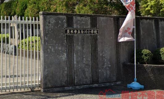 小学校　茨木市立白川小学校（小学校）まで150m