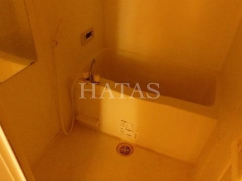 バス・シャワールーム　同物件別部屋です。