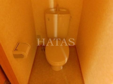 トイレ　同物件別部屋です。