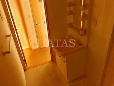 洗面設備　同物件別部屋です。