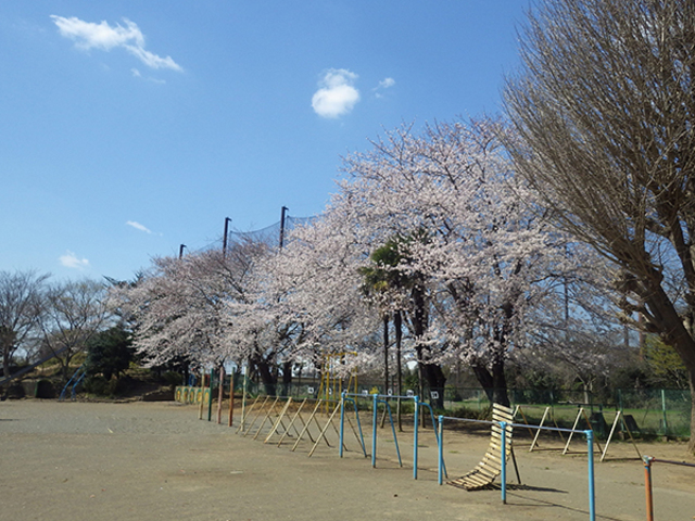小学校　千葉市立犢橋小学校（小学校）まで496m