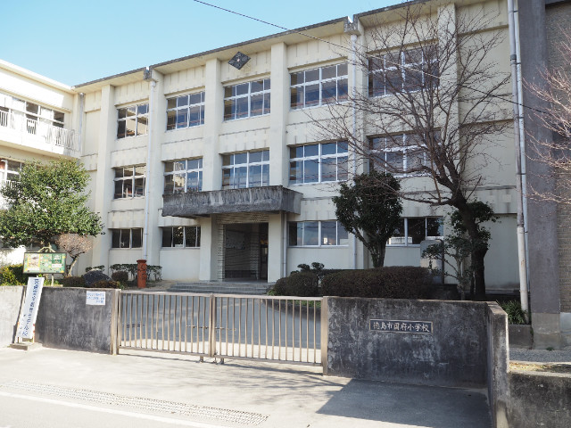 小学校　徳島市立国府小学校（小学校）まで99m