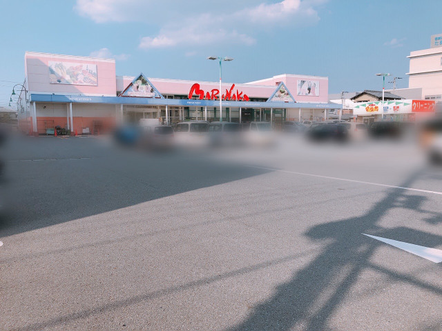 スーパー　マルナカ国府店（スーパー）まで787m