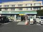 コンビニ　ファミリーマート練馬豊中通り店（コンビニ）まで536m