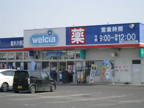 ドラックストア　ウエルシア栃木片柳店（ドラッグストア）まで674m
