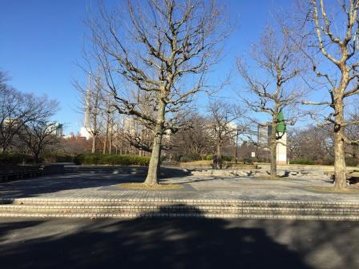 公園　猿江恩賜公園（公園）まで87m