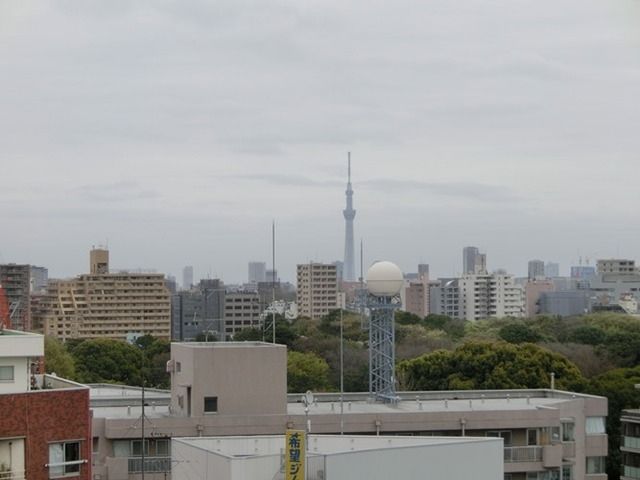 眺望　NULL