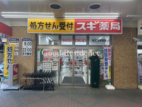 ドラックストア　スギ薬局向河原駅前店（ドラッグストア）まで313m
