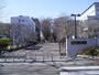 大学・短大　国立東京農工大学工学部（大学・短大）まで1785m