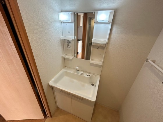洗面設備　※別号室の写真です