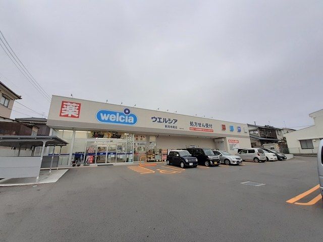 ドラックストア　ウエルシア新潟寺尾店（ドラッグストア）まで300m