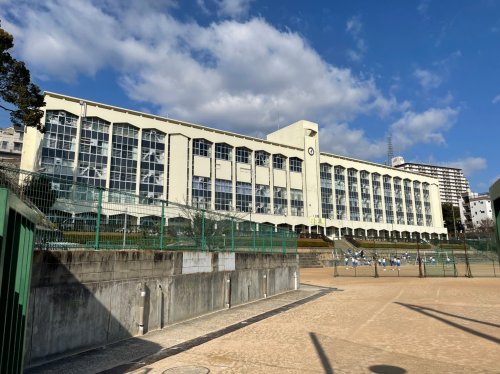 中学校　神戸市立布引中学校（中学校）まで578m