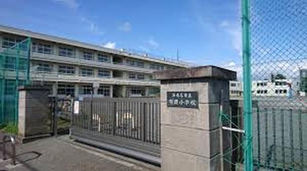 小学校　有鹿小学校（小学校）まで503m