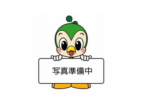 その他　ロッキースーパーストア川尻店（その他）まで508m