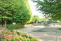 公園　大津ケ丘中央公園（公園）まで1959m