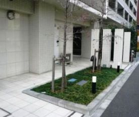 庭