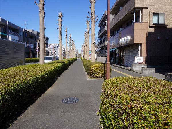 その他　現地周辺街並み（その他）まで5m