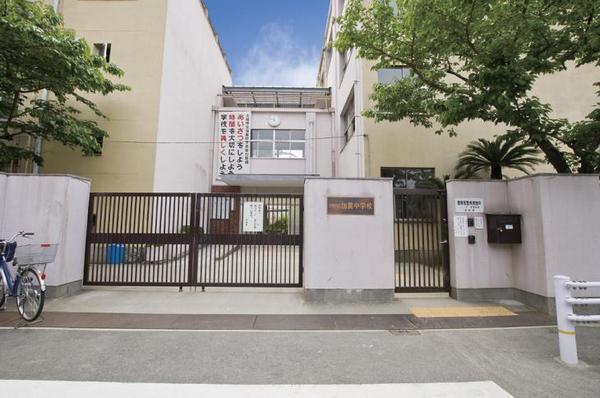中学校　加美中学校（中学校）まで520m
