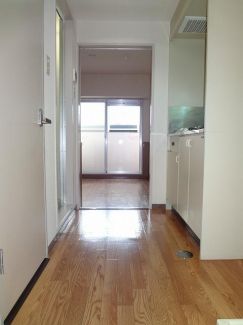 その他　玄関から居室を見渡すとこんな感じです。