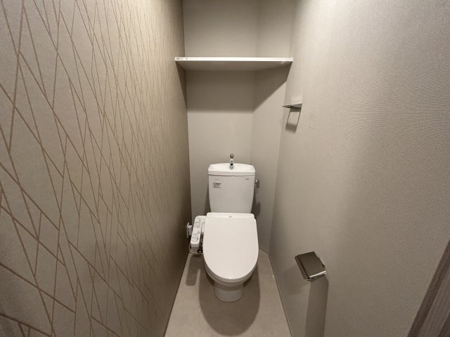 ミラージュパレス新梅田Cieloのトイレ写真