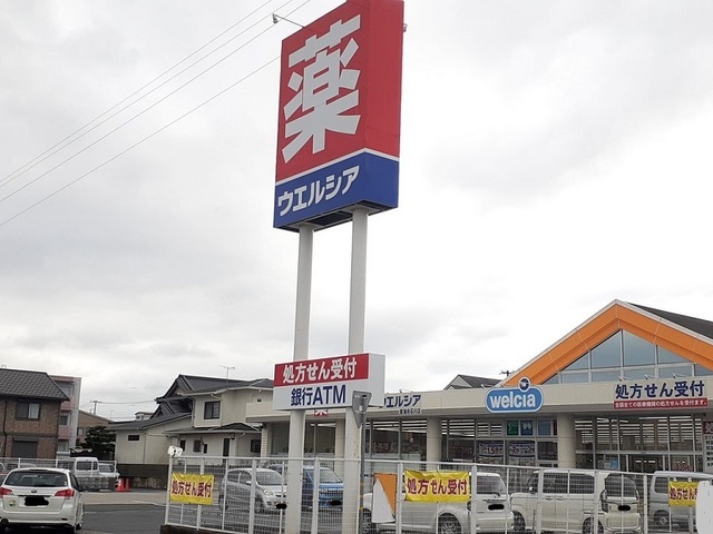 ドラックストア　ウェルシア　東海舟石川店（ドラッグストア）まで1100m