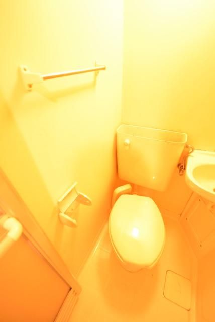 ダイホープラザ中野新橋のトイレ写真