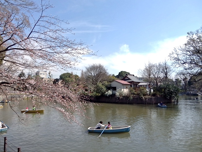公園　碑文谷公園（公園）まで421m