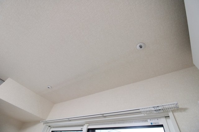 相鉄本線 上星川駅 徒歩7分 3階建 築1年のその他写真