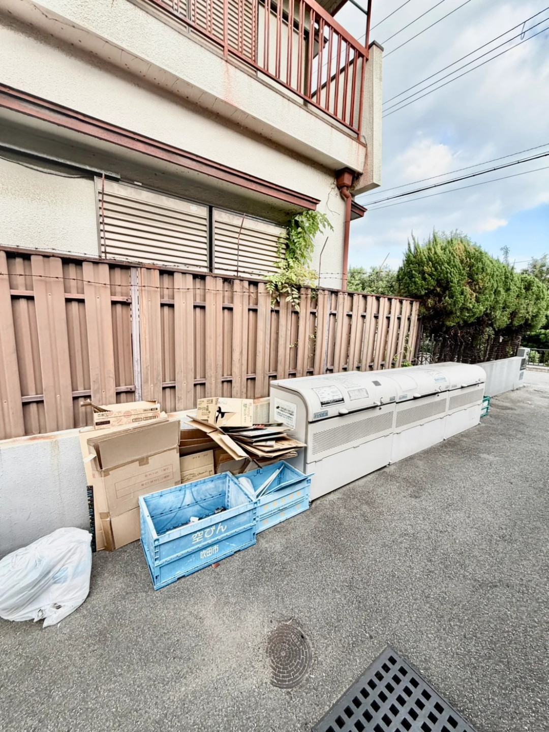 SURF ISLAND NOOSA HEADSのその他写真