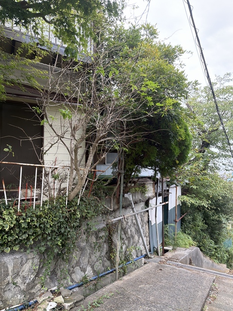 京急本線 堀ノ内駅 徒歩6分 2階建 築56年の周辺写真