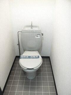日暮里・舎人ライナー 高野駅 徒歩13分 2階建 築36年のトイレ写真